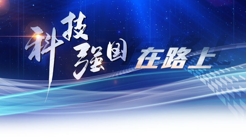 电商平台服务网格应用：架构优化与性能提升之道